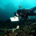 7 Surga Snorkeling Raja Ampat: Jelajahi & Lindungi Sekarang