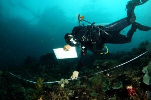 7 Surga Snorkeling Raja Ampat: Jelajahi & Lindungi Sekarang