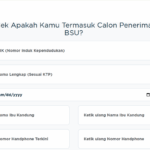 Bansos BSU 2025 Cair Juni? Cek Penerima Online Sekarang!