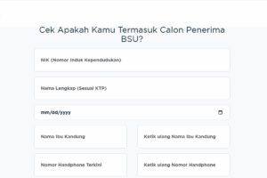 Bansos BSU 2025 Cair Juni? Cek Penerima Online Sekarang!