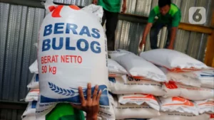 Bantuan Beras Bulog 20 Kg: Daerah Prioritas Akhir Juni 2025