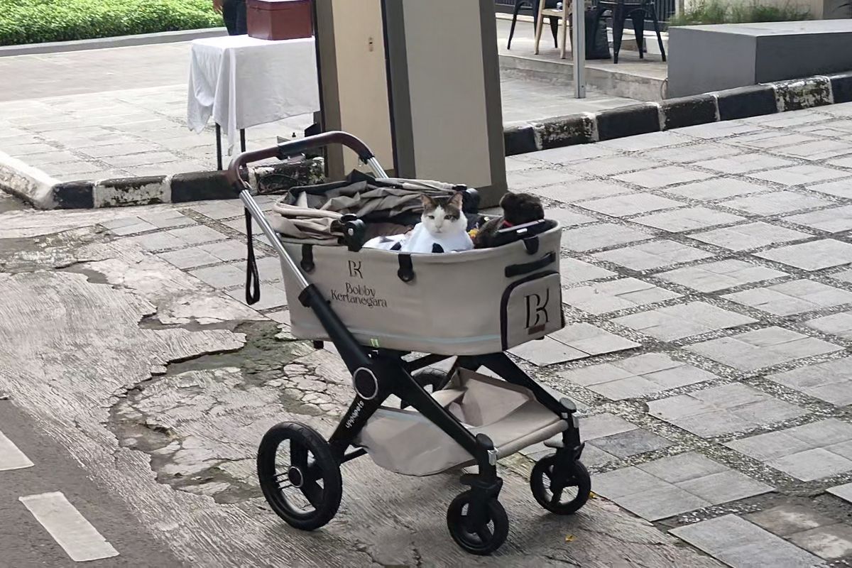 Gaya Idul Adha Bobby Kertanegara: Koko Putih Elegan