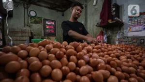 Harga Bahan Pokok Hari Ini: Telur, Minyak Goreng & Lainnya!