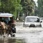 Hindari Jebakan! 5 Tips Cermat Beli Mobil Bekas Anti Banjir
