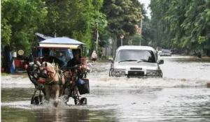 Hindari Jebakan! 5 Tips Cermat Beli Mobil Bekas Anti Banjir