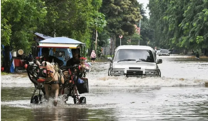 Hindari Jebakan! 5 Tips Cermat Beli Mobil Bekas Anti Banjir
