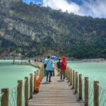 Ilmuwan Jerman Pecahkan Misteri Kematian Burung Kawah Putih