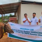 MIND ID Kurban 743 Hewan: Iduladha 2025 Berbagi Berkah