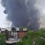 Misteri Kecelakaan Air India: Kawanan Burung Penyebabnya?