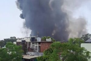 Misteri Kecelakaan Air India: Kawanan Burung Penyebabnya?