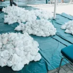 PTPN PalmCo Bagikan 61 Ton Daging Kurban: Sentuh 50 Daerah