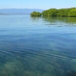 Pulau Panjang Sumbawa: Surga Tersembunyi Konservasi NTB