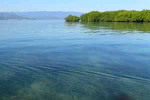 Pulau Panjang Sumbawa: Surga Tersembunyi Konservasi NTB