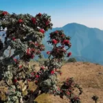 Rahasia Astrofotografi: 6 Fakta Gunung Kennedy, Myanmar