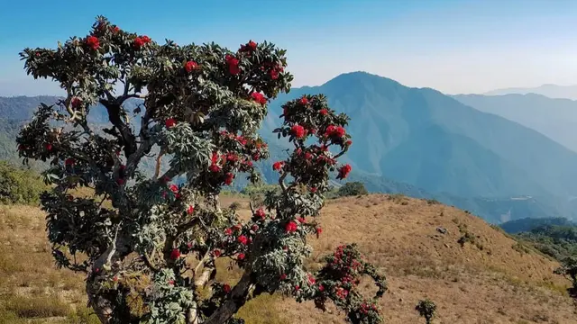 Rahasia Astrofotografi: 6 Fakta Gunung Kennedy, Myanmar