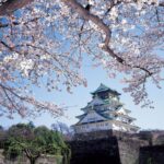 Rahasia Osaka Castle: 3 Alasan Wajib Kunjungi Kastil Jepang