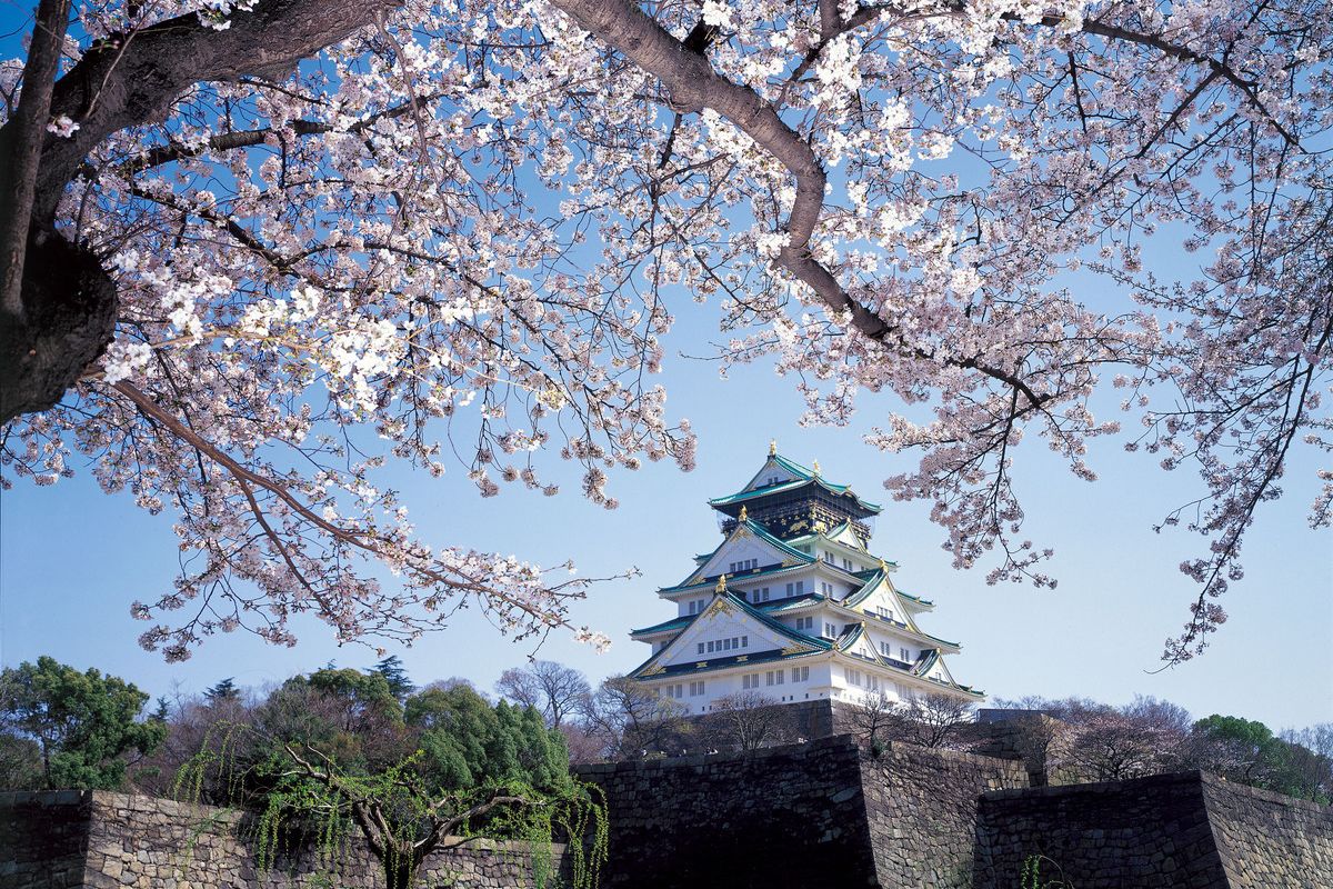 Rahasia Osaka Castle: 3 Alasan Wajib Kunjungi Kastil Jepang