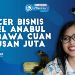 Raih Keuntungan Besar: Layanan Terbaik untuk Kucing Kesayangan Anda