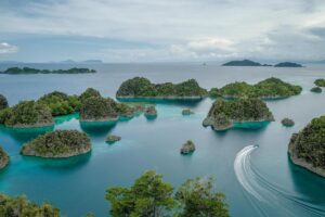 Raja Ampat: 4 Raksasa Nikel, Antam & Perusahaan China