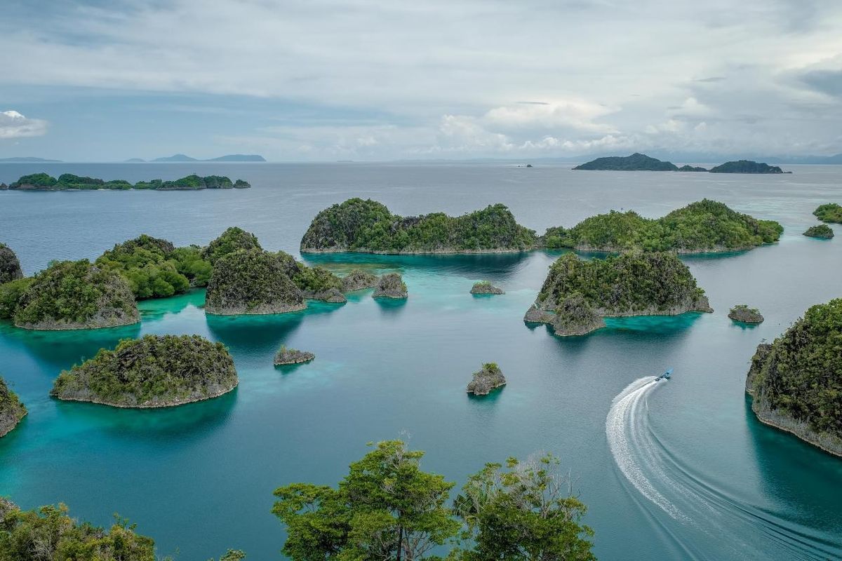 Raja Ampat: 4 Raksasa Nikel, Antam & Perusahaan China