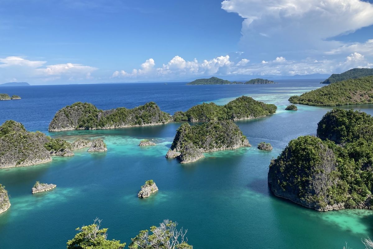 Raja Ampat Aman? Jelajahi Surga, Nikmati Keindahannya Tanpa Rasa Khawatir