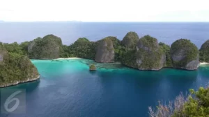 Raja Ampat Terancam: Penambangan Nikel, Jatam Bereaksi
