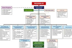 Rekomendasi Struktur Organisasi Badan Penerimaan Negara Terbaru