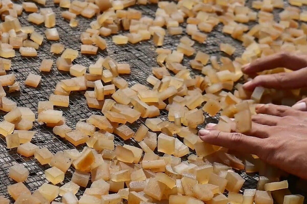Rezeki Idul Adha: Perajin Kerupuk Gunungkidul Untung Besar