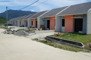 Rumah Subsidi Minimalis: Mimpi Generasi Muda Terwujud?
