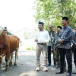 SIG Berbagi Kebahagiaan Idul Adha: 237 Hewan Kurban untuk 20 Provinsi