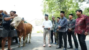 SIG Berbagi Kebahagiaan Idul Adha: 237 Hewan Kurban untuk 20 Provinsi
