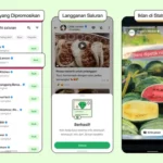 WhatsApp Resmi Beriklan: Lokasi Tayang Iklan Meta Terungkap