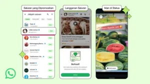 WhatsApp Resmi Beriklan: Lokasi Tayang Iklan Meta Terungkap