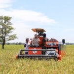 Produksi Beras Nasional Melonjak, Tembus 30 Juta Ton!
