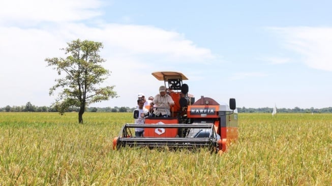 Produksi Beras Nasional Melonjak, Tembus 30 Juta Ton!