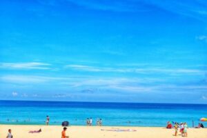Serangan Hewan Laut Misterius Phuket: Sengatan Mematikan Mirip Ubur-ubur
